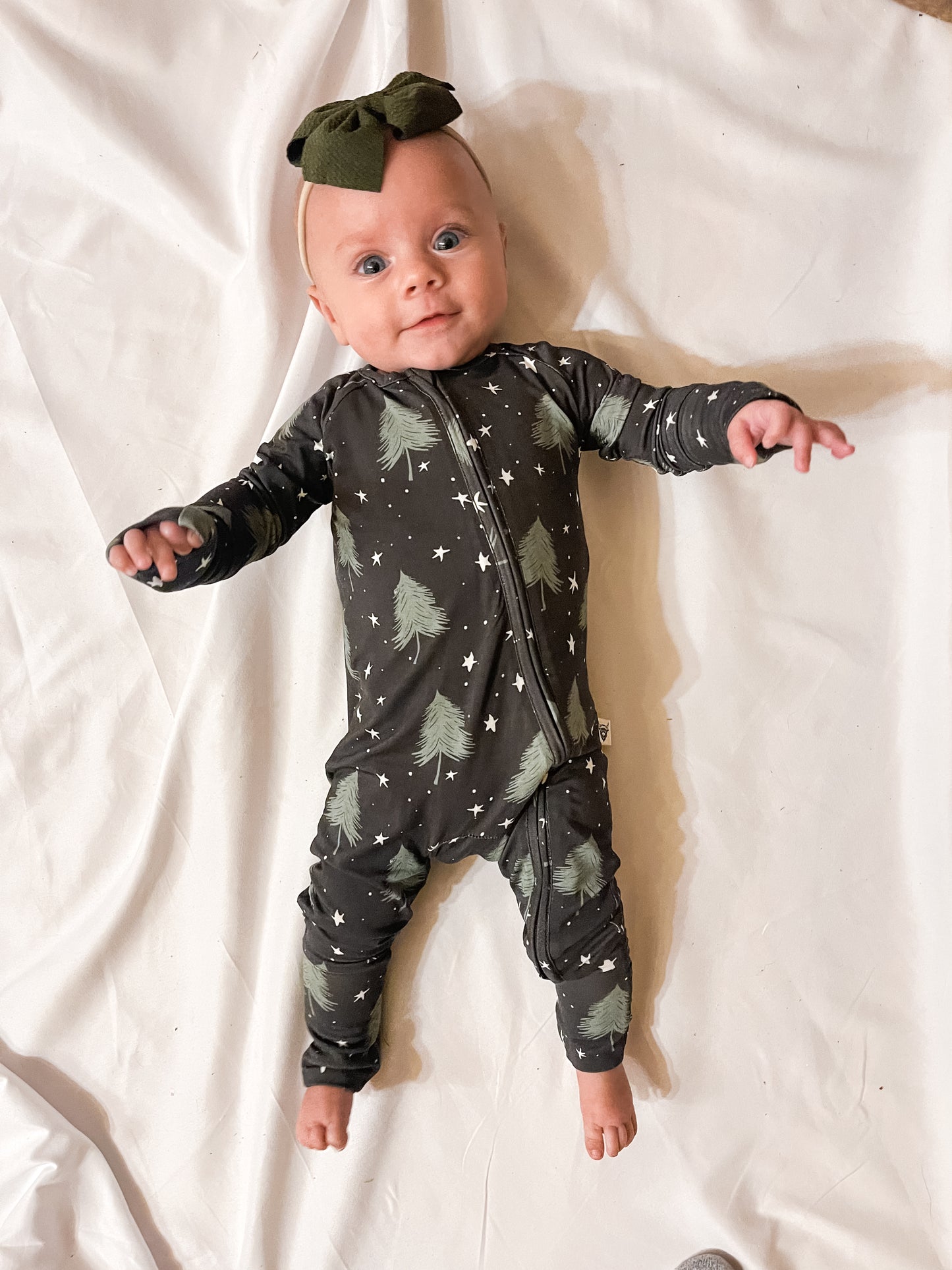 Winter Wonderland Zippy