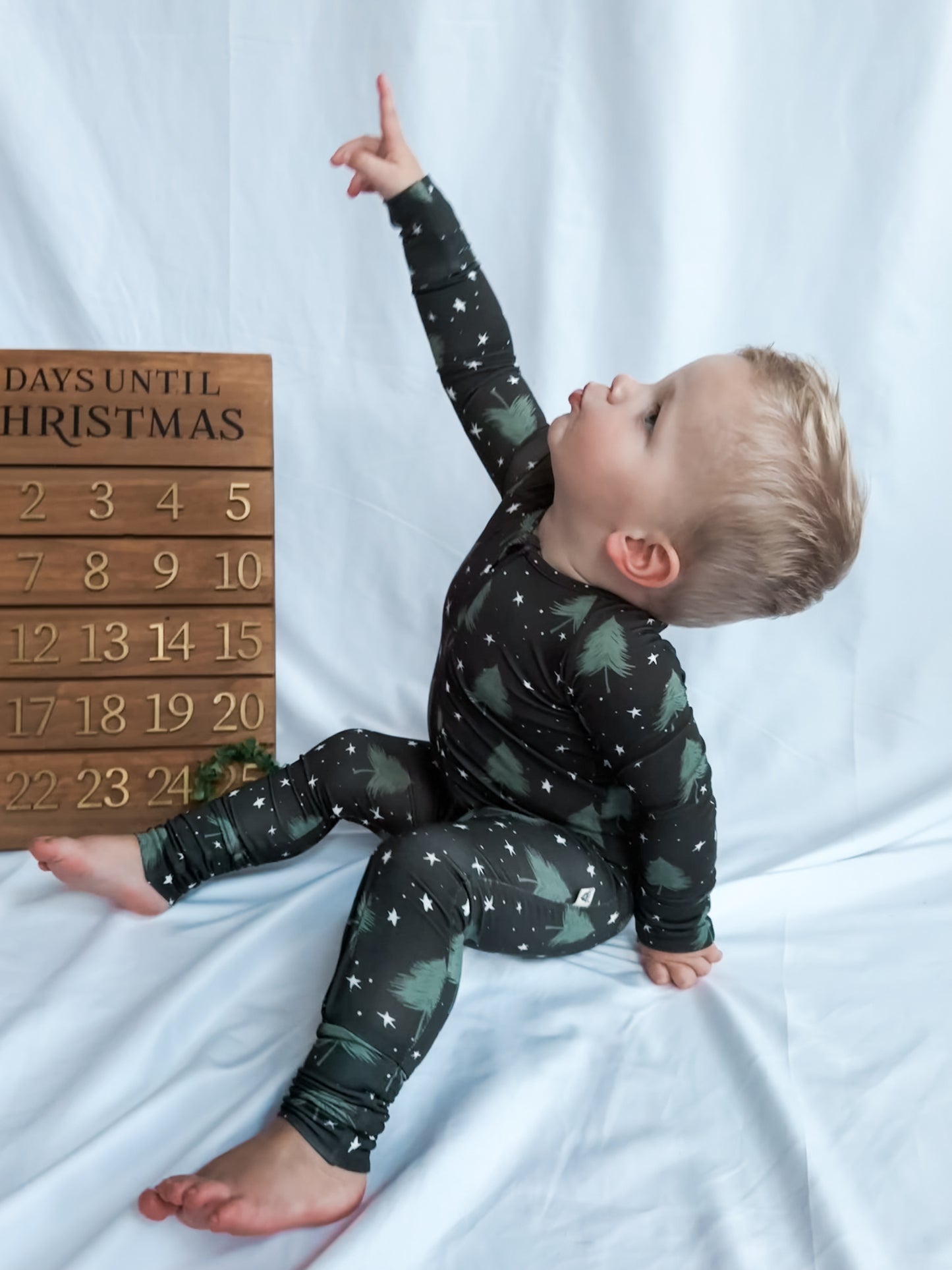 Winter Wonderland Zippy